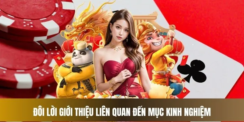 Đôi lời giới thiệu liên quan đến mục kinh nghiệm